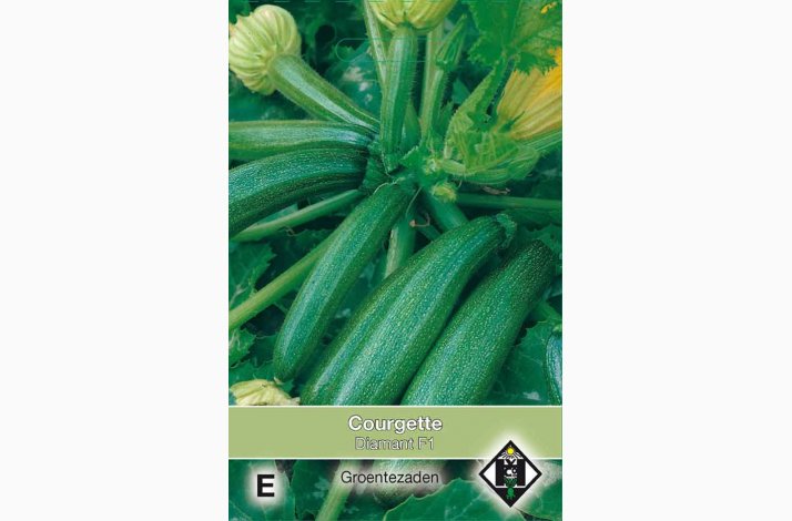 Courgette Cucurbita Pepo Diamant F1 Squash